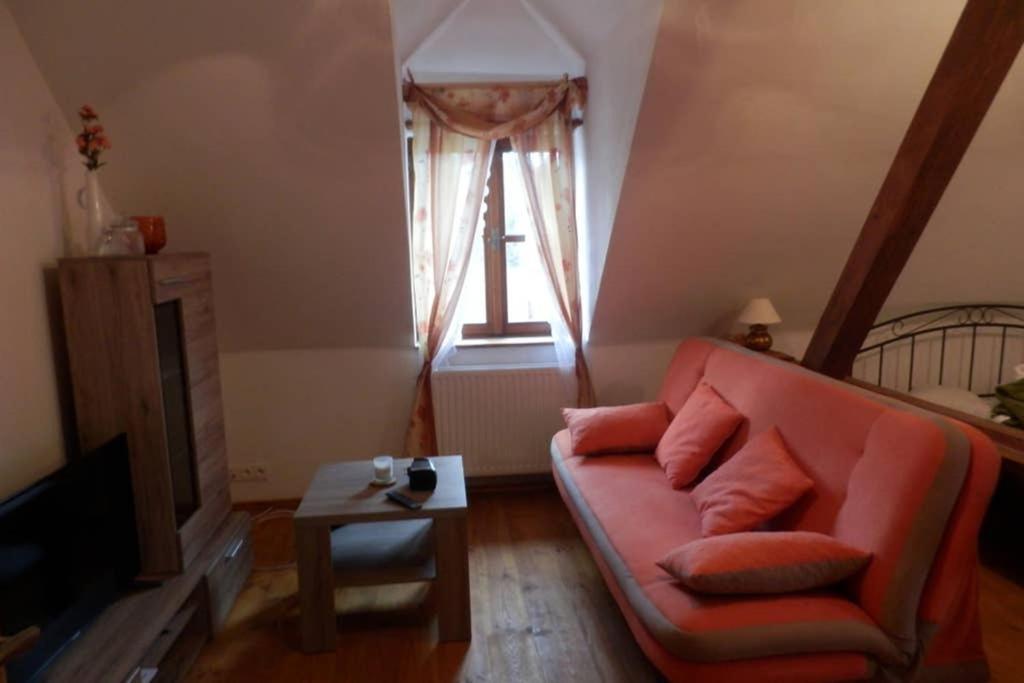 Zamecek Zdiky - Moderni Velky Apartman Bujanov Buitenkant foto